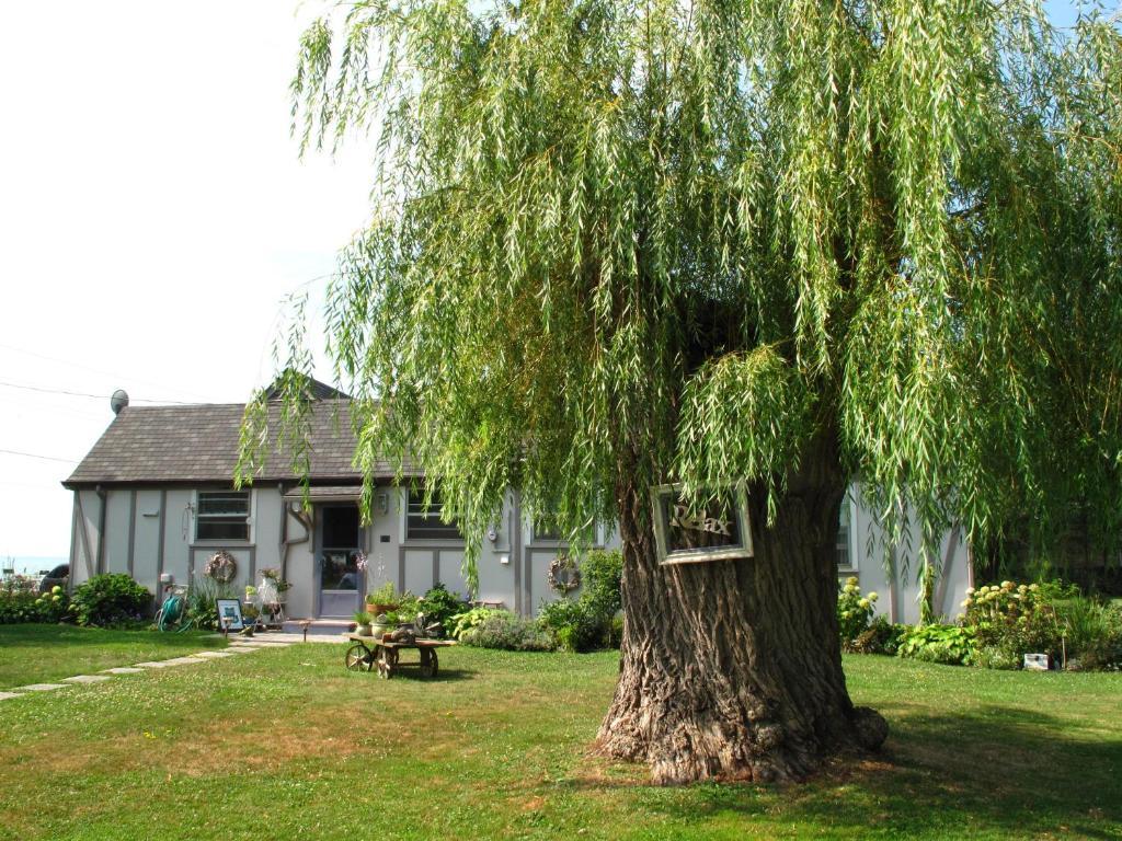 Omstead'S On Erie B&B Wheatley Luaran gambar